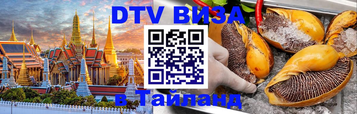 Оформление DTV визы под ключ: стоимость и тарифы, только загранпаспорт - 05.10.2025 